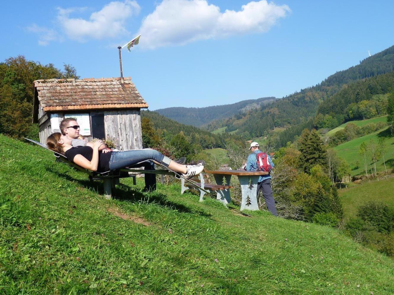 Ferienwohnung Am Kapellenberg - Am Rande Des Nationalparks Schwarzwald Bad Peterstal-Griesbach Ngoại thất bức ảnh