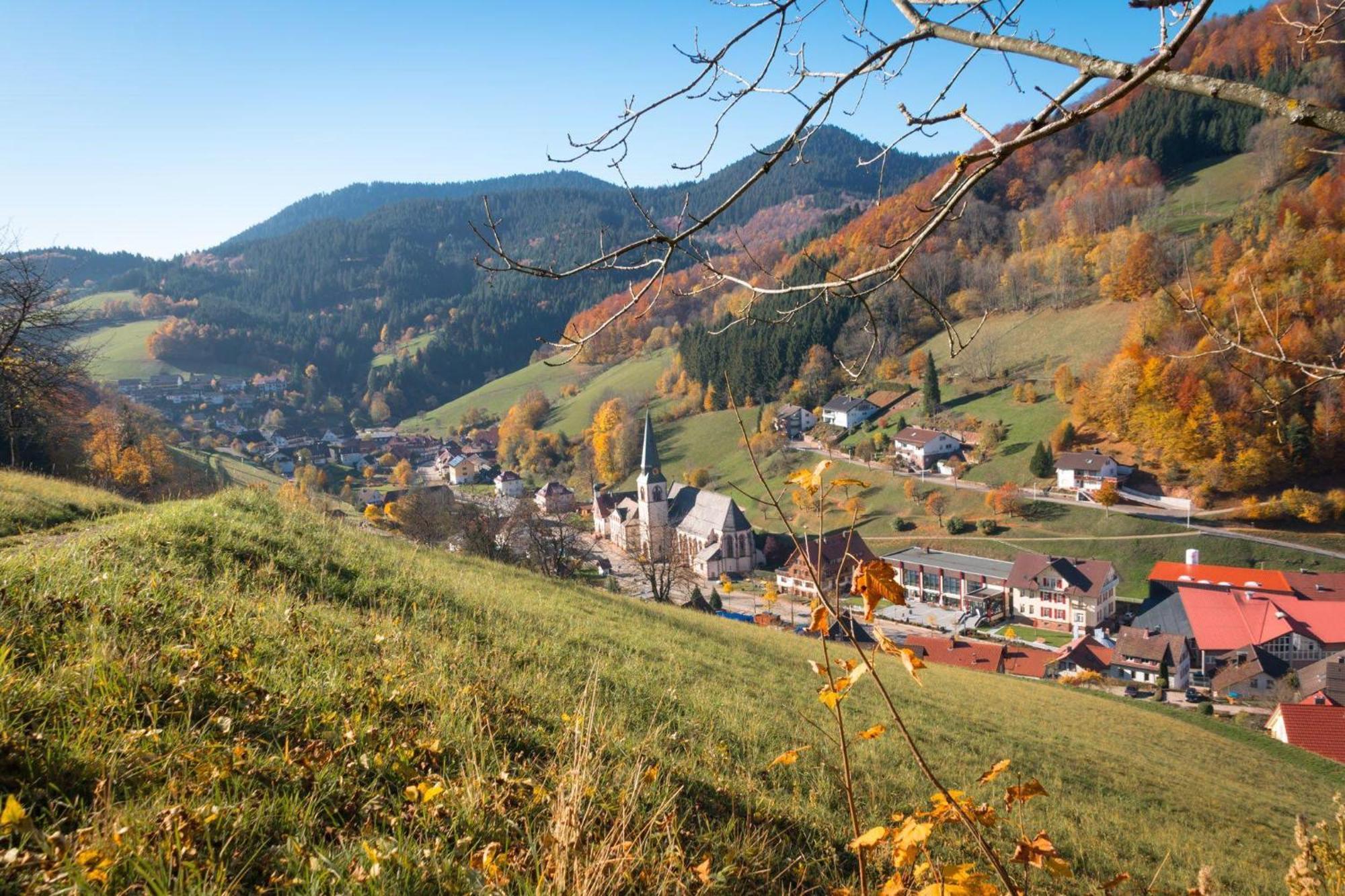 Ferienwohnung Am Kapellenberg - Am Rande Des Nationalparks Schwarzwald Bad Peterstal-Griesbach Ngoại thất bức ảnh